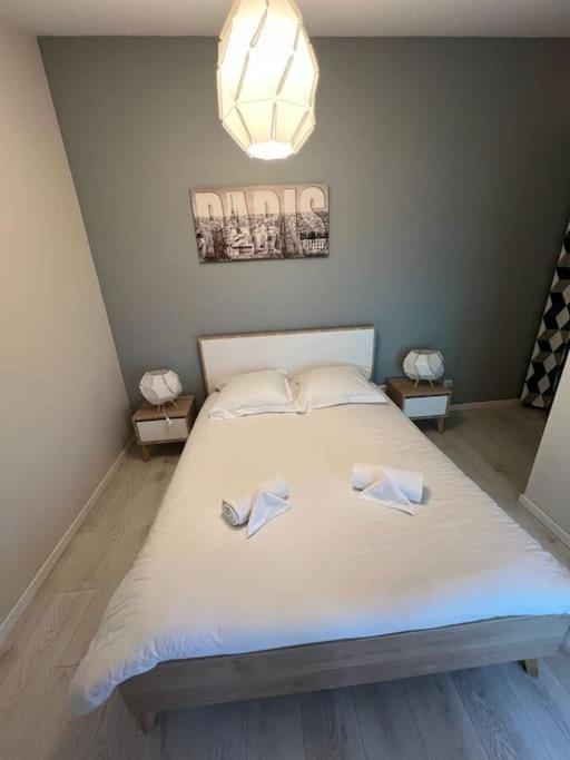 Le Paris Eiffel - Appartement Cosy En Plein Centre Bourgoin-Jallieu Esterno foto